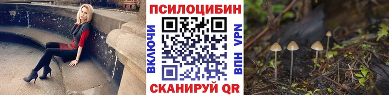 купить закладку  Малмыж  Галлюциногенные грибы Psilocybine cubensis 